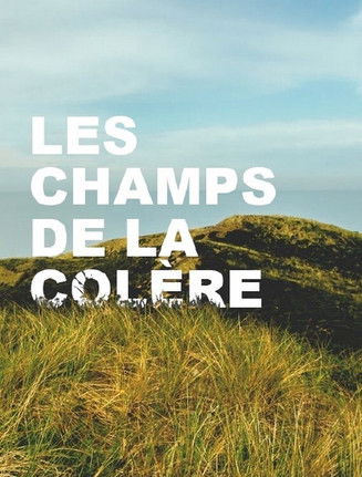 Movie poster for Les Champs de la colère (2017)