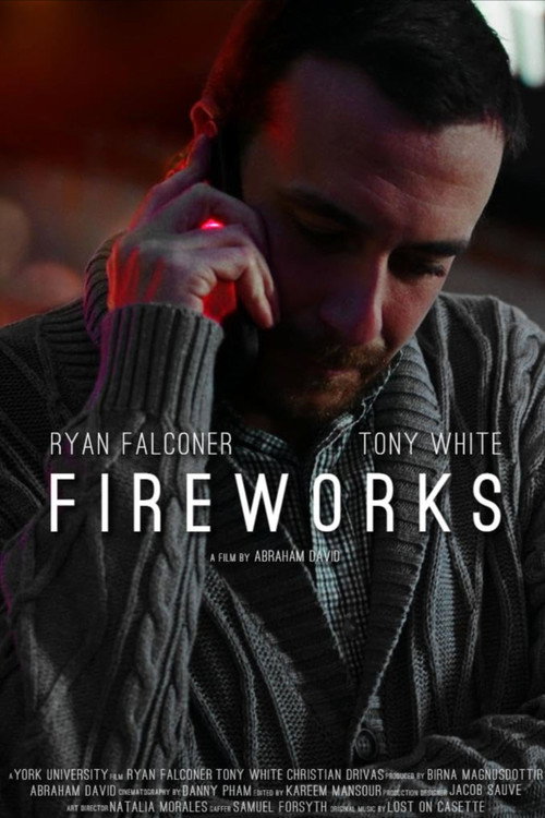 Movie poster for Fireworks (2023)