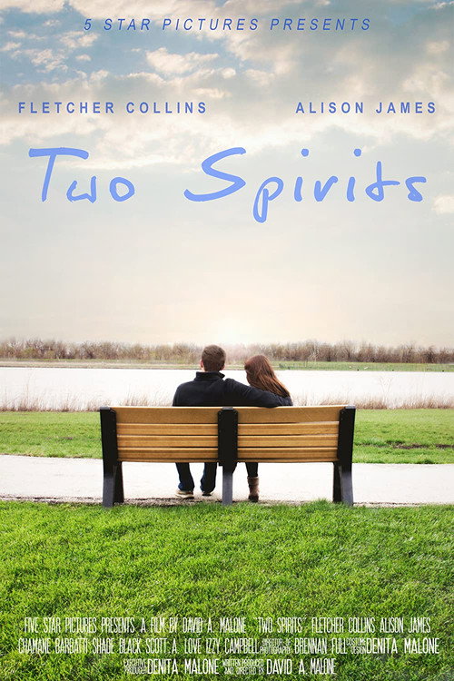 Movie poster for Two Spirits (2018)
