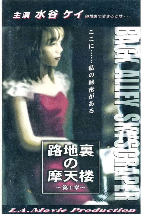 Movie poster for BACK ALLEY SKYSCRAPER (1999)