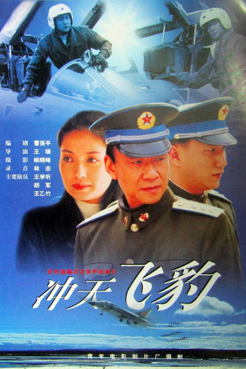 Movie poster for 冲天飞豹 (1999)