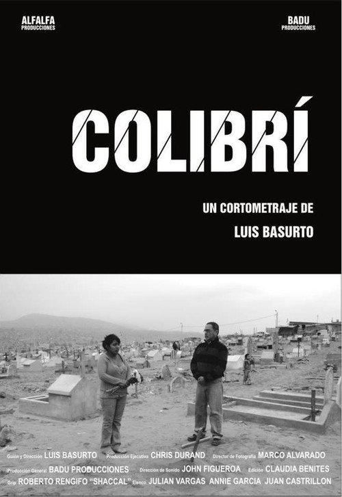 Movie poster for Colibrí (2011)