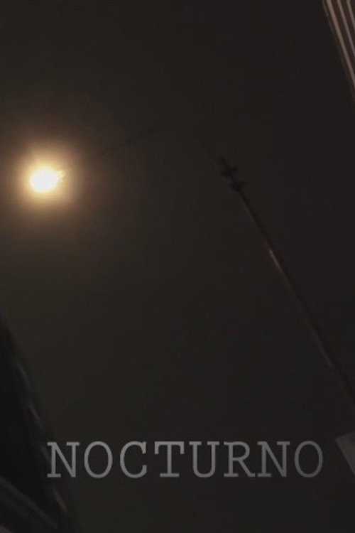 Movie poster for Turno Nocturno (2017)