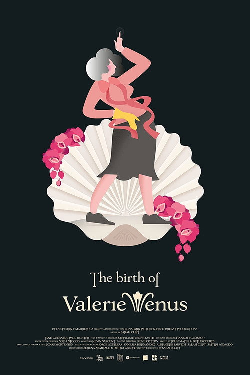 Movie poster for The Birth of Valerie Venus (2020)