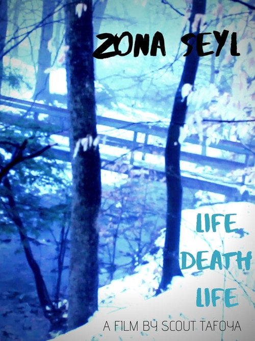 Movie poster for Zona Seyl (2020)