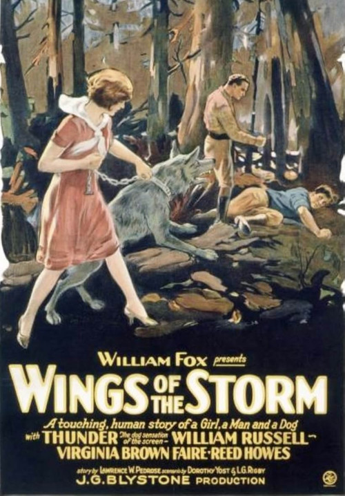 Movie poster for Wings of the Storm (1926)