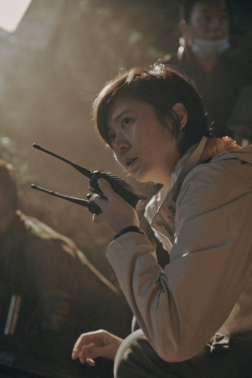 Photo of Cai Jing, Directing