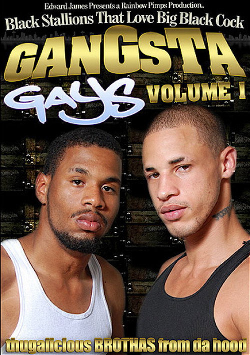 Movie poster for Gangsta Gays 1 (2010)
