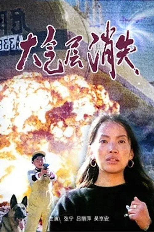Movie poster for The Ozone Layer Vanishes (1990)
