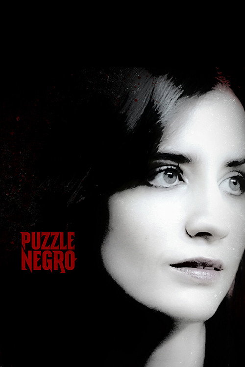 Movie poster for Puzzle Negro (2015)