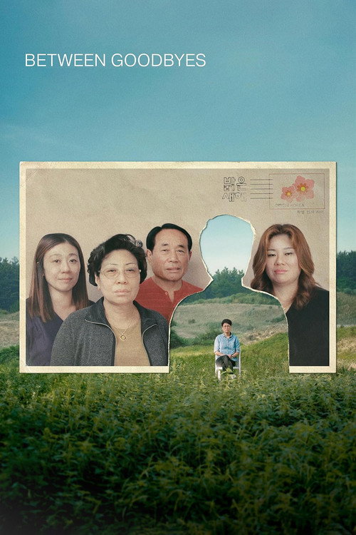 Movie poster for Between Goodbyes (2024)