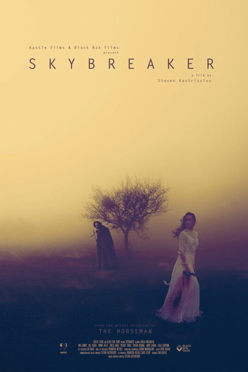 Movie poster for Skybreaker