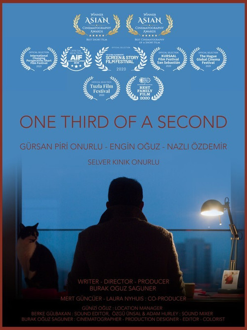 Movie poster for One Third of a Second