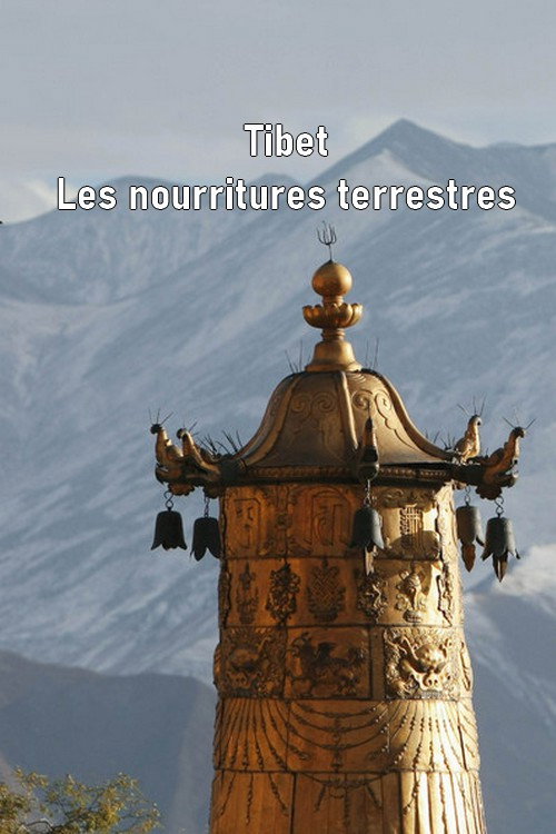 Movie poster for Tibet - Les nourritures terrestres (2011)