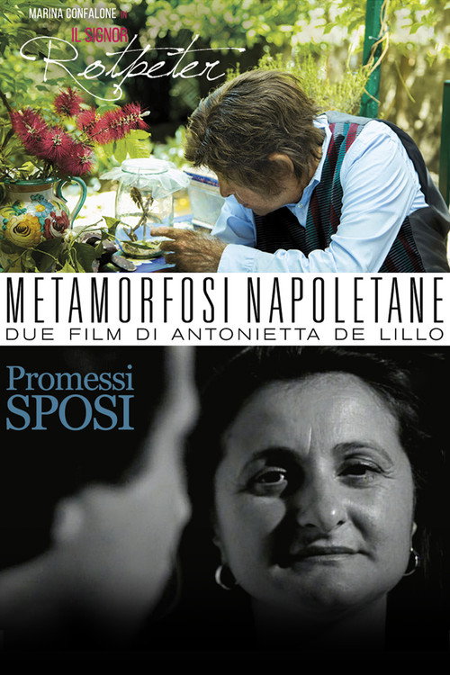 Movie poster for Metamorfosi Napoletane (2017)