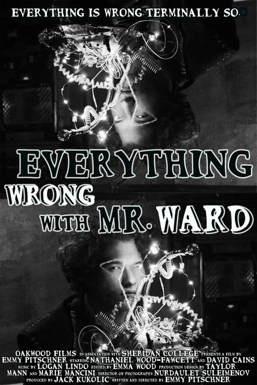 Movie poster for Everything Wrong with Mr. Ward (2024)