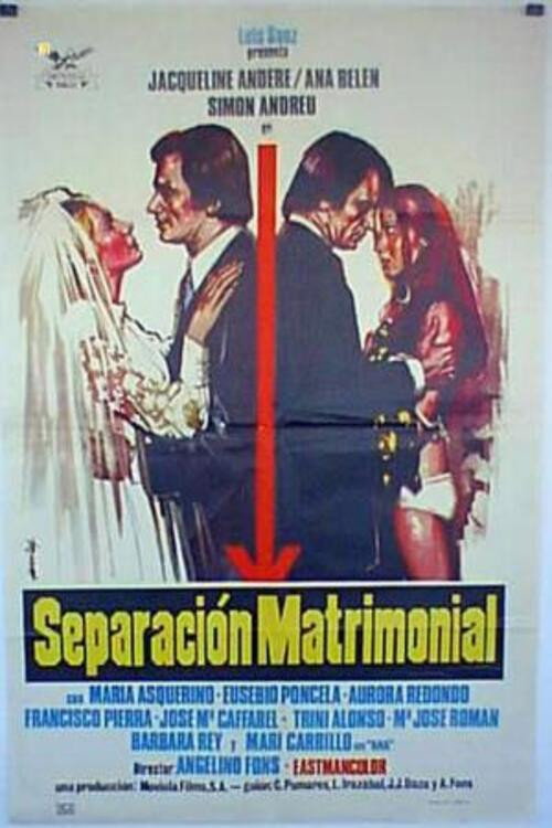 Movie poster for Separación matrimonial (1973)