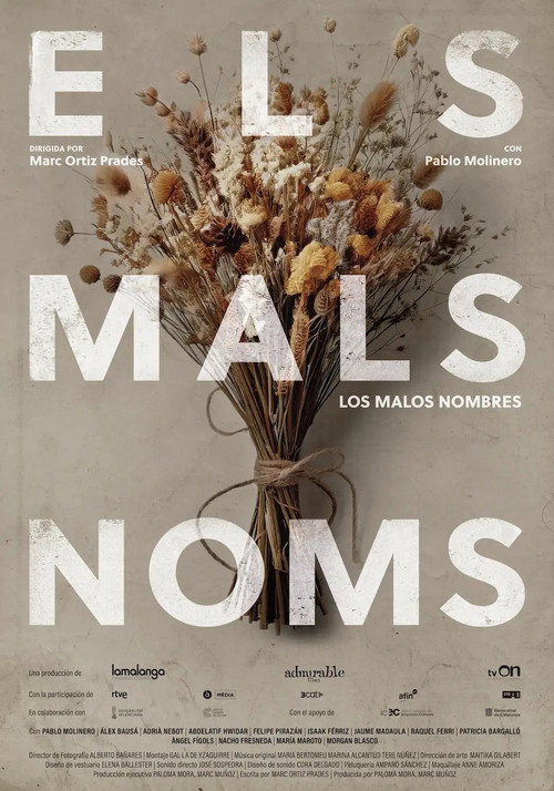Movie poster for Els mals noms (2025)