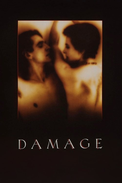Movie poster for Damage (1992)