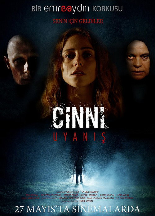 Movie poster for Cinni: Uyanış