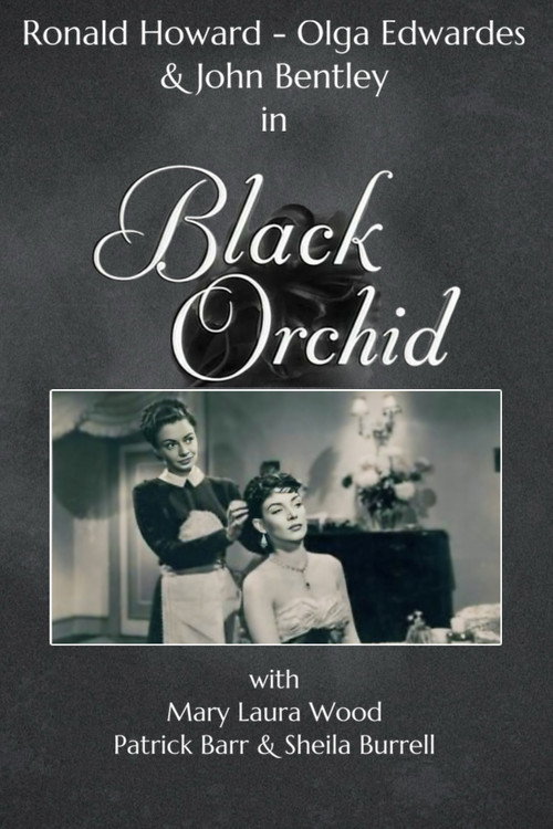 Movie poster for Black Orchid (1953)