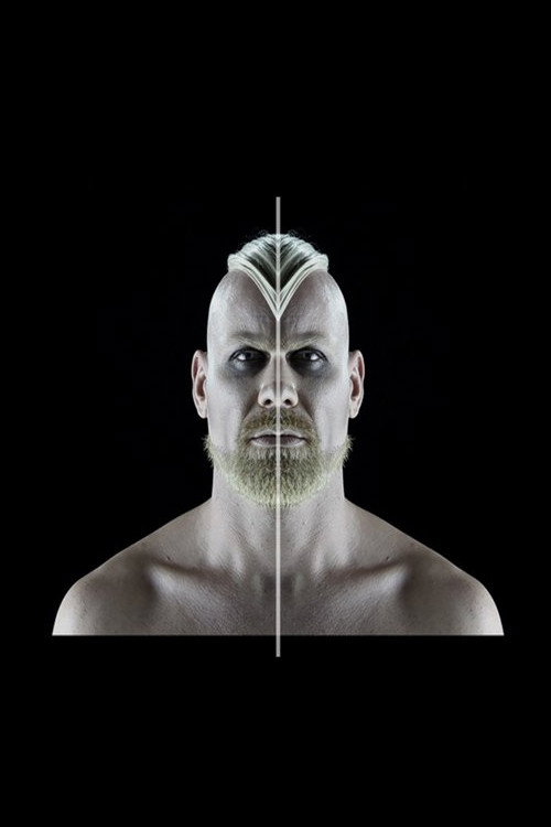 Movie poster for Materialization for the Eternity (2013)