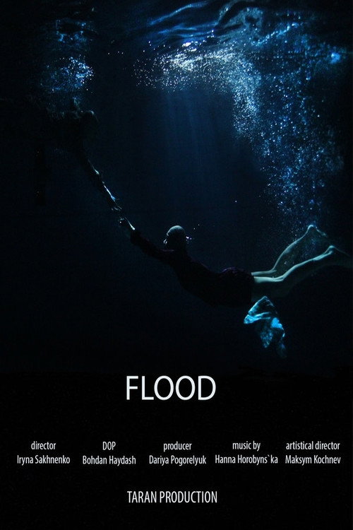 Movie poster for Flood (2019)