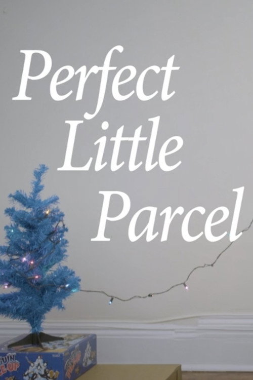 Movie poster for Perfect Little Parcel (2018)