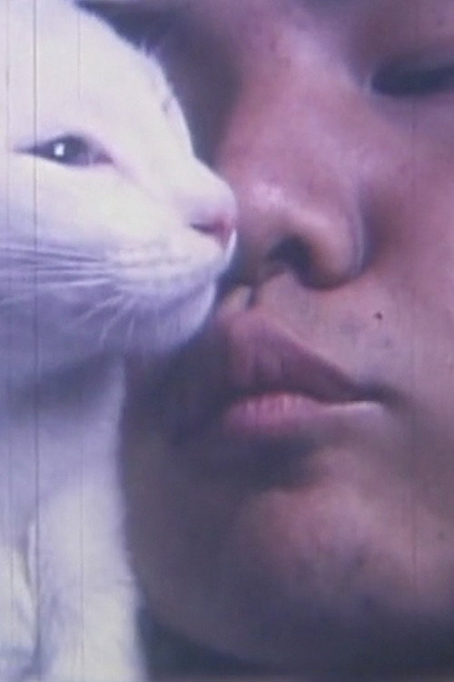 Movie poster for Wabishabi (1988)
