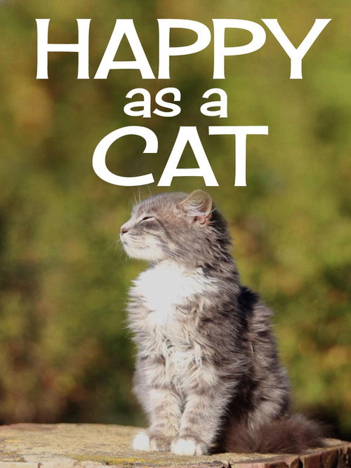 Movie poster for Happy as a Cat (2020)