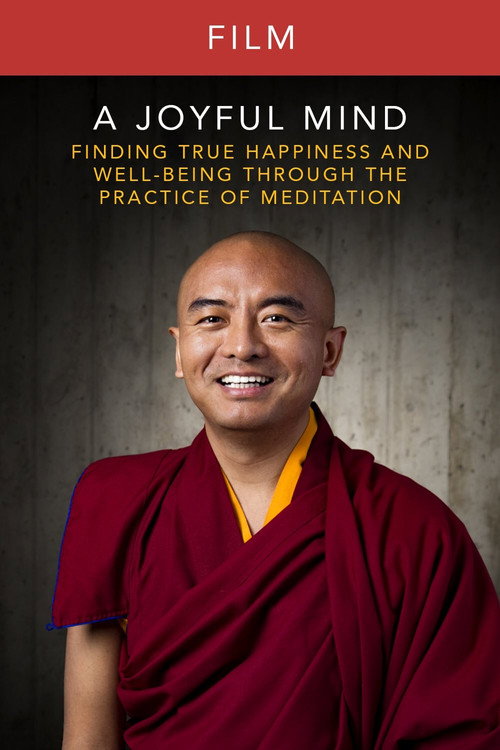 Movie poster for A Joyful Mind - Finding true happiness through the practice of meditation (2016)
