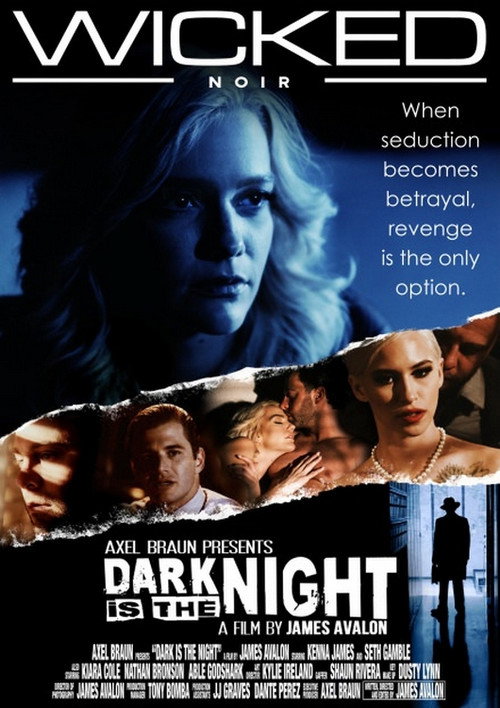 Movie poster for Dark Is the Night (2022)
