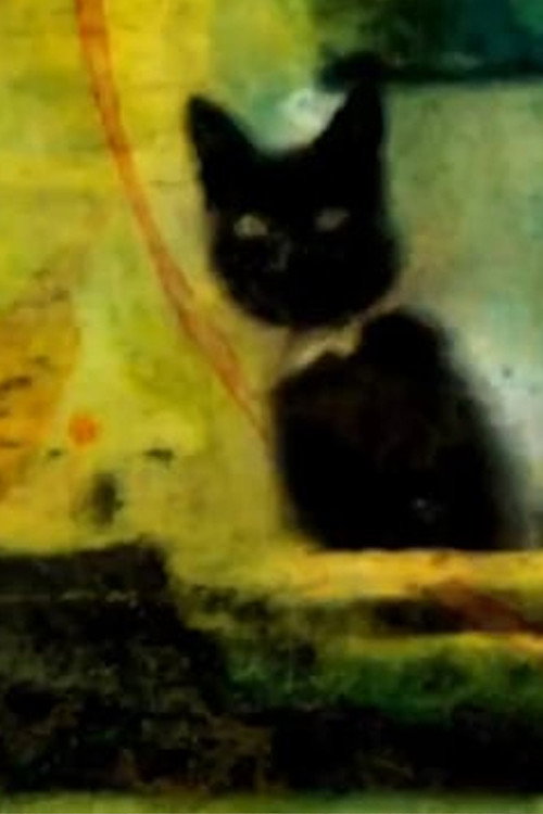 Movie poster for Salers (2014)