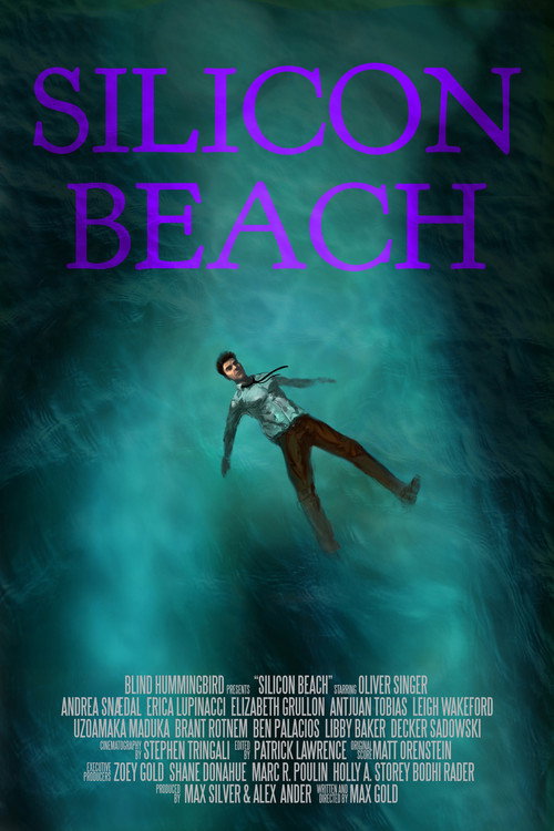 Movie poster for Silicon Beach (2018)