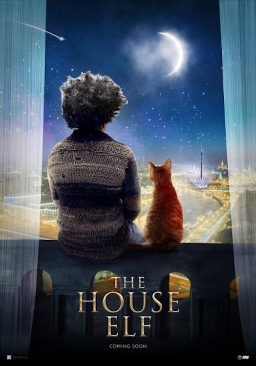Movie poster for The House Elf (2019)