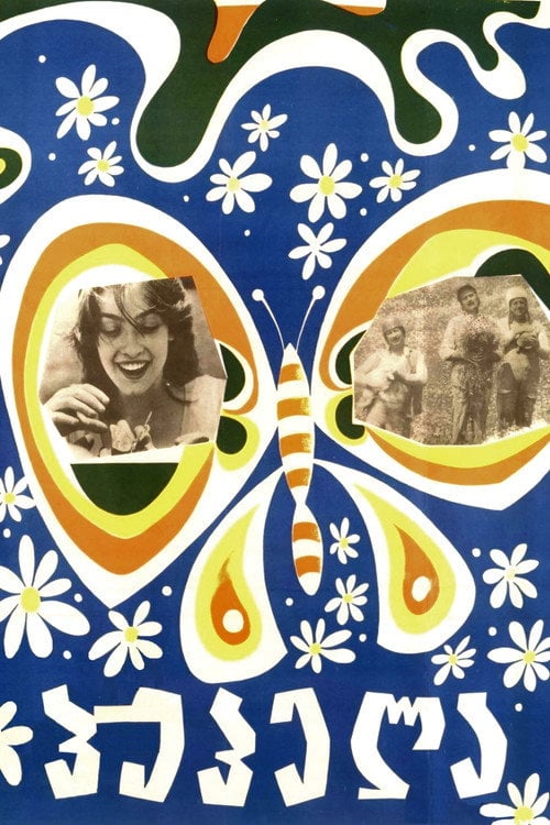 Movie poster for Butterfly (1977)