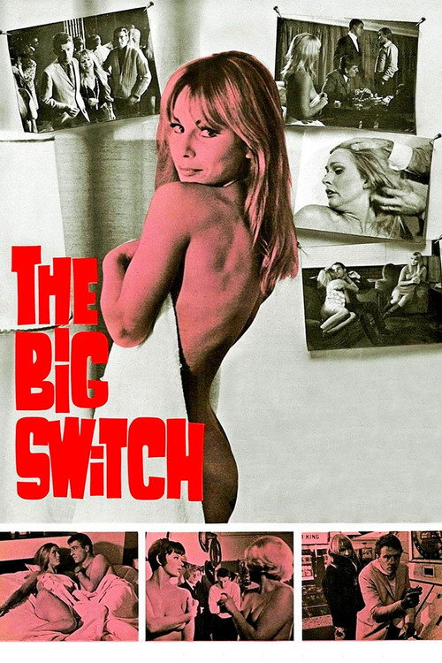 Movie poster for The Big Switch (1968)