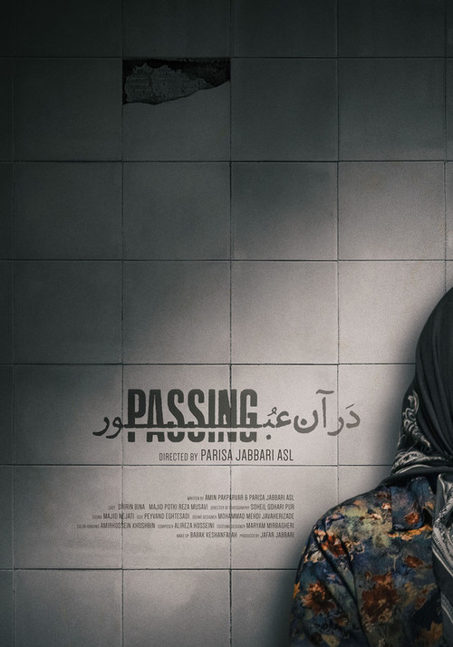 Movie poster for Passing