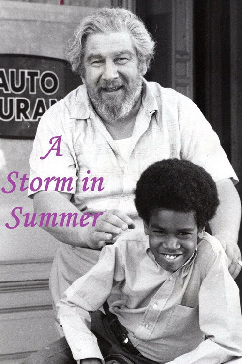 Movie poster for A Storm in Summer (1970)