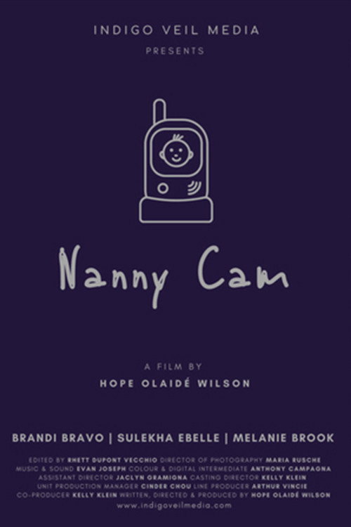 Movie poster for Nanny Cam (2020)