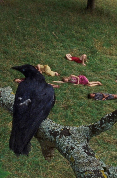 Movie poster for The Bird Game (2019)