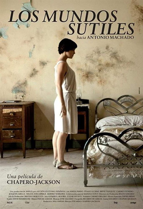 Movie poster for Los mundos sutiles (2015)