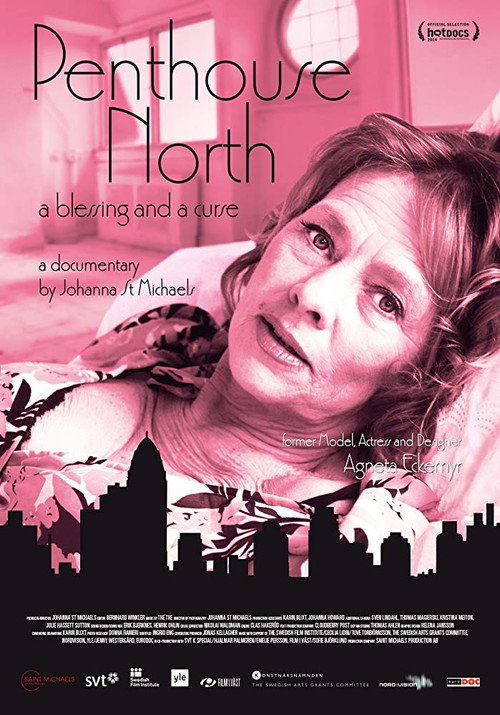 Movie poster for Penthouse North (2014)