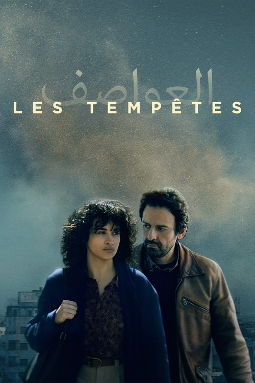 Movie poster for Silent Storms (2024)