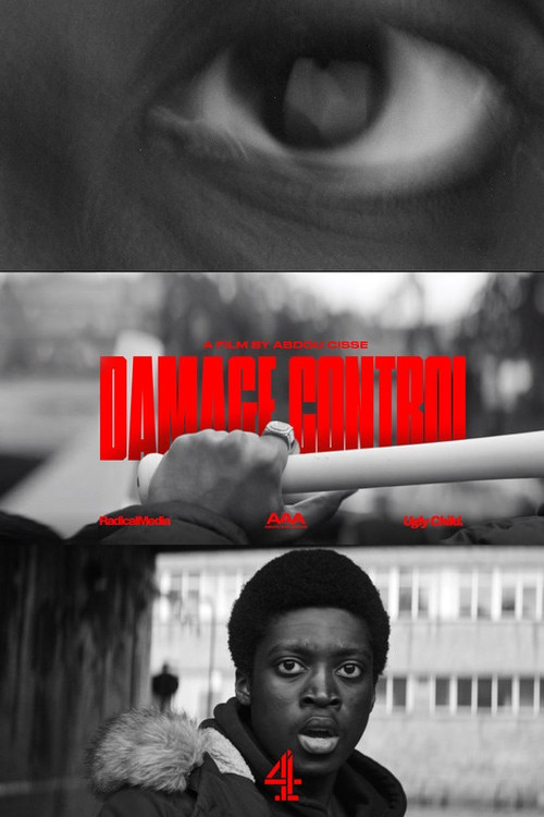 Movie poster for Damage Control (Enough) (2020)