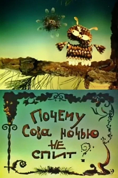 Movie poster for Why Doesn't The Owl Sleep At Night? (2000)