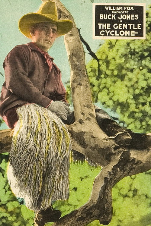 Movie poster for The Gentle Cyclone (1926)