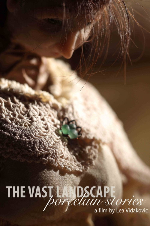 Movie poster for The Vast Landscape: Porcelain Stories (2014)