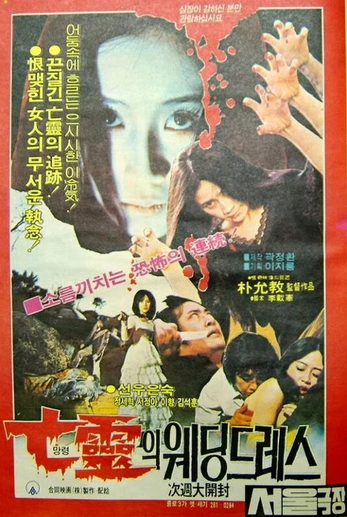 Movie poster for The Haunted Wedding Dress (1981)