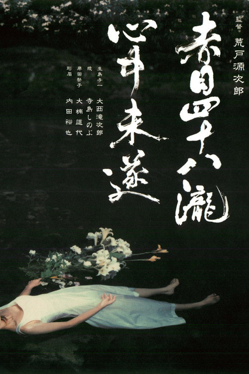 Movie poster for Akame 48 Waterfalls (2003)